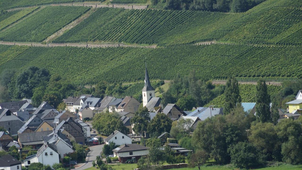 Altes Winzerhaus - Ferienhaus Burgen  Kültér fotó
